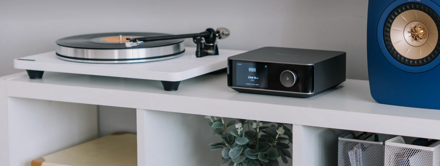 WiiM Amp Ultra Netzwerk Streamer & Vollverstärker & ROON Quobuz Tidal Spotify