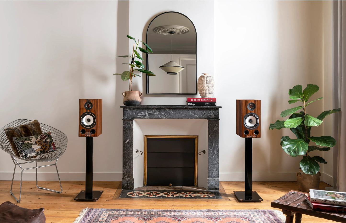 TRIANGLE Esprit Comete 40th Anniversary Regal / Kompakt Lautsprecher