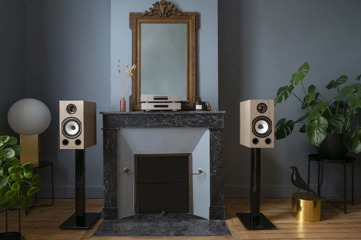 TRIANGLE Esprit Comete 40th Anniversary Regal / Kompakt Lautsprecher