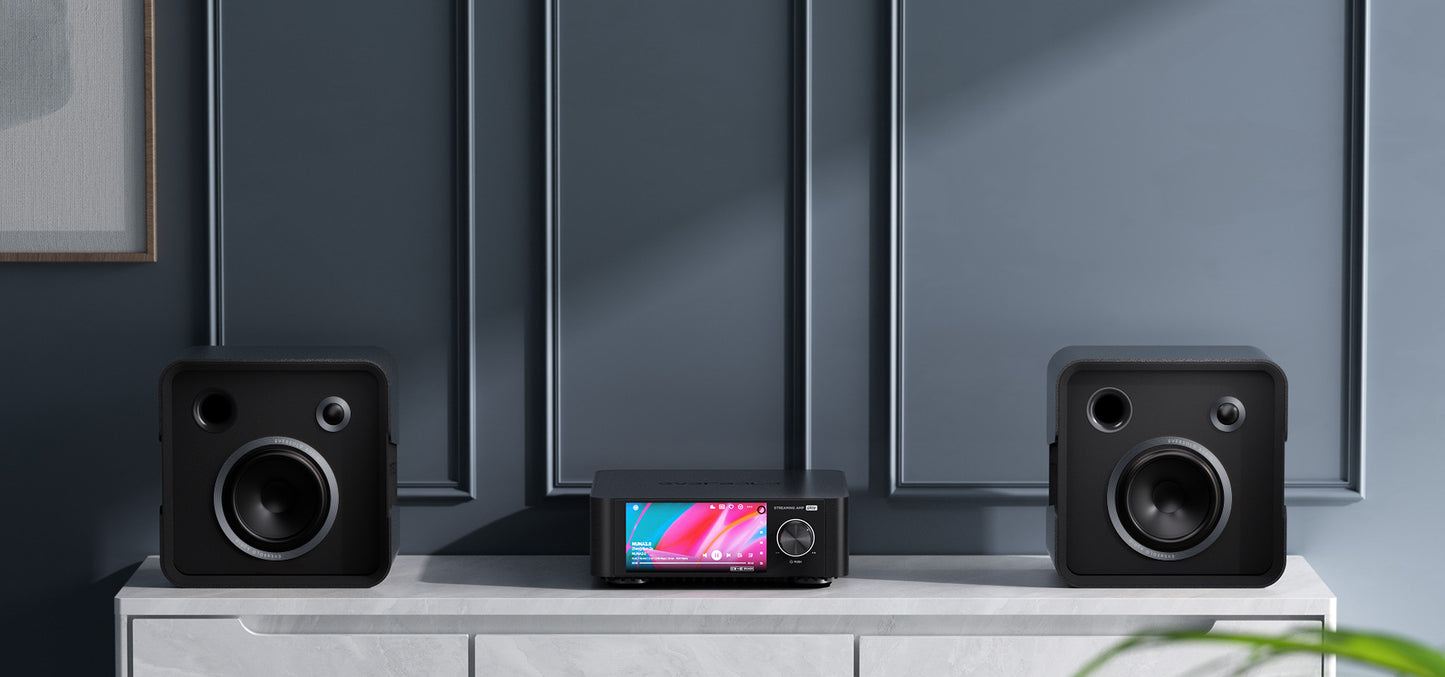 EVERSOLO PLAY Optional mit CD-Player Digital Media Player Streamer & HIFI AMP Integrierter Vollverstärker