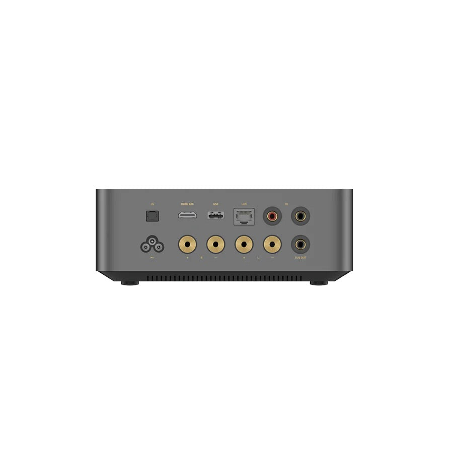 WiiM Amp Ultra Netzwerk Streamer & Vollverstärker & ROON Quobuz Tidal Spotify