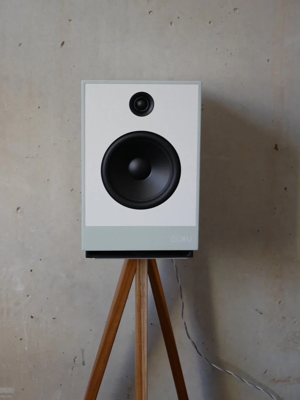 GURU Audio 12 Kompakt / Regal Lautsprecher