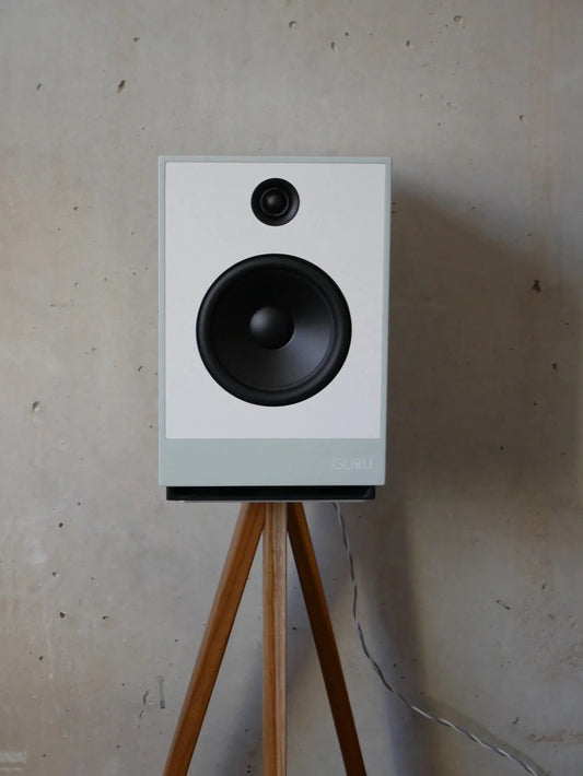 GURU Audio 12 Kompakt / Regal Lautsprecher