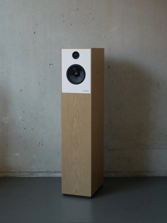 GURU Audio 28 Standlautsprecher