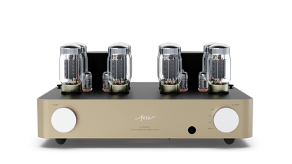 FEZZ AUDIO OLYMPIA EVOLUTION DUAL MONO Röhren-Vollverstärker
