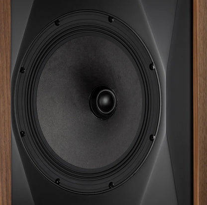MoFi Electronics Sourcepoint 10 Master Edition Andrew Jones Regal / Kompakt Lautsprecher