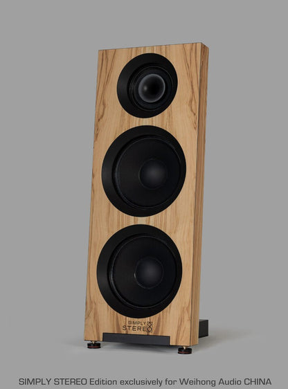 Spatial Europe MC Series No2 Standlautsprecher