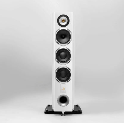 TRIANGLE Magellan Cello 40th Anniversary Standlautsprecher