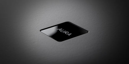 REGA Aura Reference MC Phonovorverstärker
