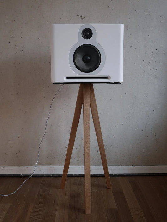 GURU Audio Q10 Kompakt / Regal Lautsprecher
